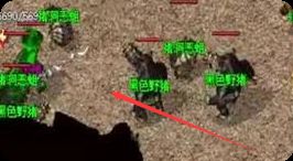 新开传奇sf 新开传奇sf